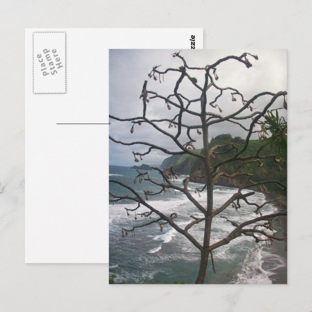 Carte Postale Vue photo de l'arbre de plage de l'océan hawaïen (Devant / Derrière)