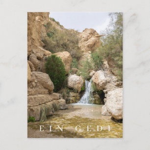 Carte postale vue réserve naturelle Ein Gedi