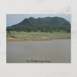 Carte Postale Vue sur la nature de Voi Wildlife Lodge, Kenya
