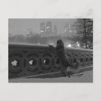 Carte Postale Vue sur la neige depuis Bow Bridge