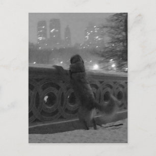 Carte Postale Vue sur la neige depuis Bow Bridge-Central Park Ca