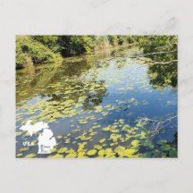 Vue sur la rivière du Metropark Lake Erie avec log