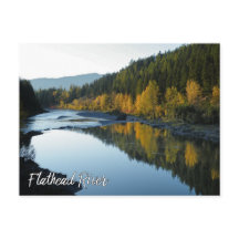 Vue sur la rivière Flathead avec les montagnes et 