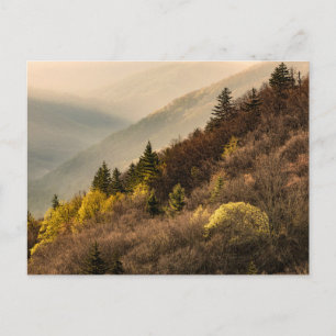 Carte Postale Vue sur la vallée Oconaluftee   Caroline du Nord