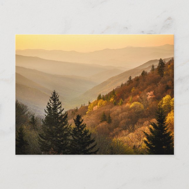 Carte Postale Vue sur la vallée Oconaluftee | Caroline du Nord (Devant)
