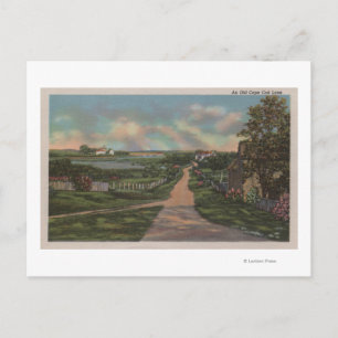 Carte Postale Vue sur la voie de Cape Cod