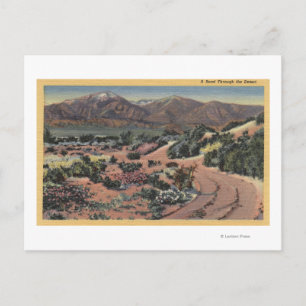 Carte Postale Vue sur le désert de Californie