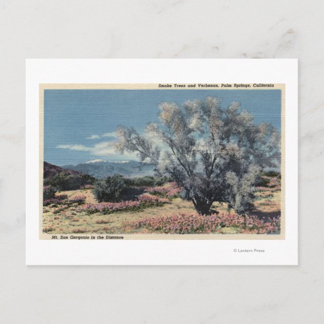 Carte Postale Vue sur le mont San Gorgonio, Fumeurs (Devant)