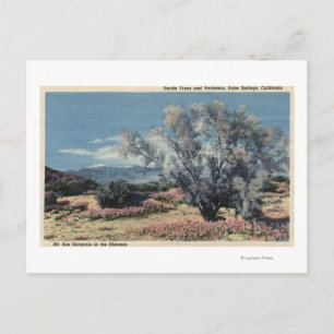 Carte Postale Vue sur le mont San Gorgonio, Fumeurs
