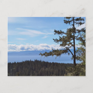 Carte Postale Vue sur les arbres de East Sooke, BC, Canada