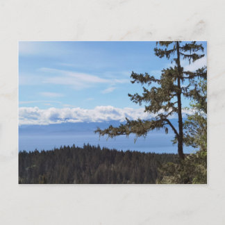 Carte Postale Vue sur les arbres de East Sooke, BC, Canada