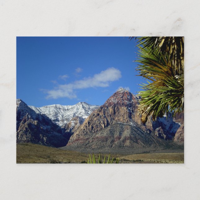 Carte Postale Vue sur les montagnes et le canyon avec neige (Devant)