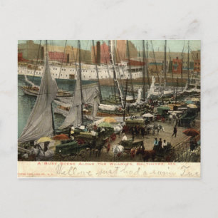 Carte Postale Vue sur les quais, Baltimore, MD 1905