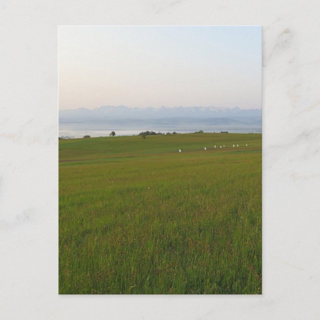 Carte Postale Vue sur les Tatras depuis Beskids (Devant)