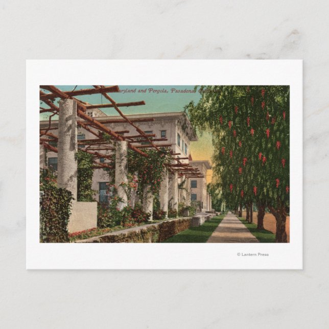 Carte Postale Vue sur l'Hôtel Maryland & Pergola (Devant)