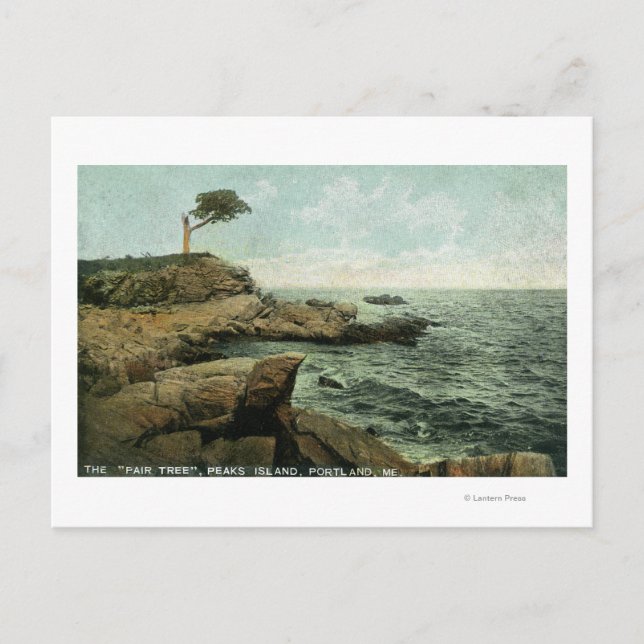 Carte Postale Vue sur l'île de Peaks et le Pair Tree (Devant)