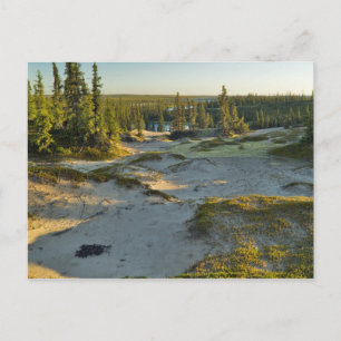 Carte Postale Vue sur un lac et les collines de sable environnan