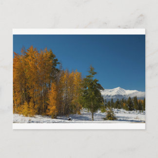 Carte Postale Vues d'automne de Leadville