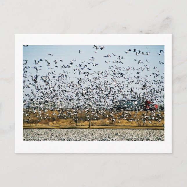 CARTE POSTALE VUES DE NEBRASKA (Devant)