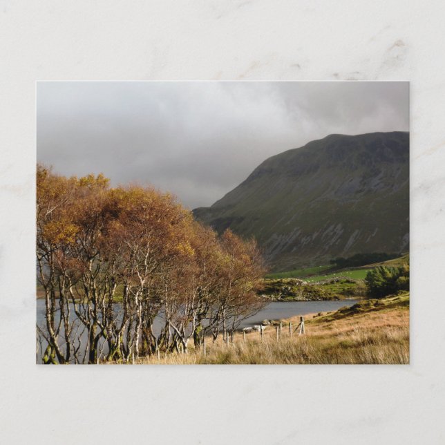 CARTE POSTALE VUES DES ALLES (Devant)