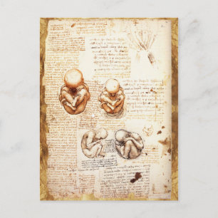 Carte Postale Vues d'un foetus dans l'utérus, Ob-Gyn Médicale