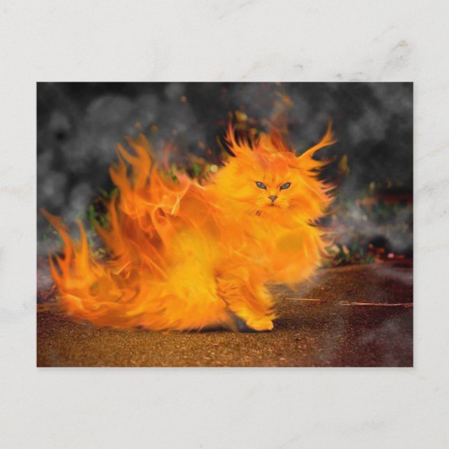 Carte Postale vuur kat (Devant)
