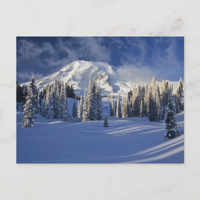 Carte Postale WA, Mt Rainier NP, Mt Rainier et Paradise (Devant)