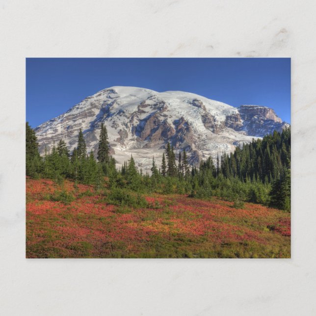 Carte Postale WA, Parc national du Mont-Rainier, Paradise Valley (Devant)