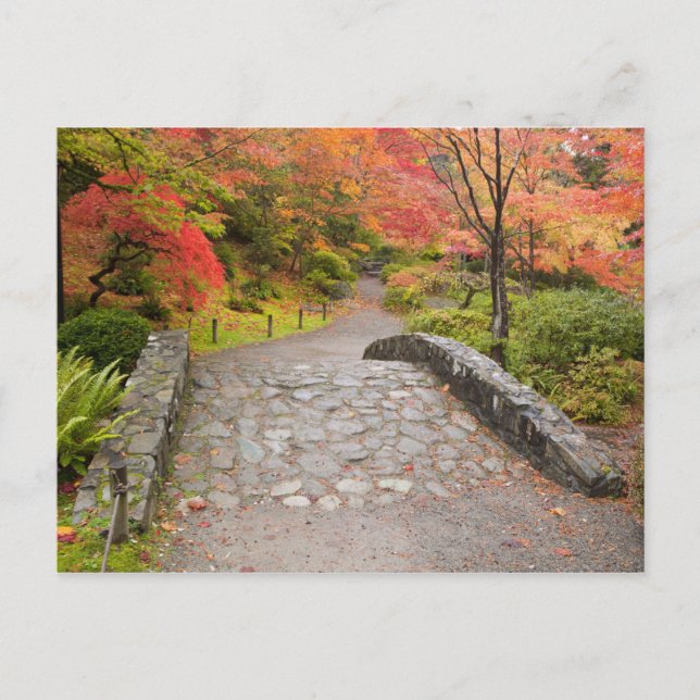 Carte Postale WA, Seattle, Washington Park Arboretum, (Devant)