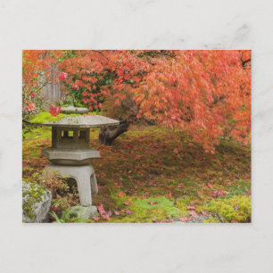 Carte Postale WA, Seattle, Washington Park Arboretum, Japonais 2