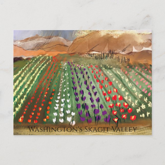 Carte Postale WA Skagit Valley Tulip Fields (Devant)