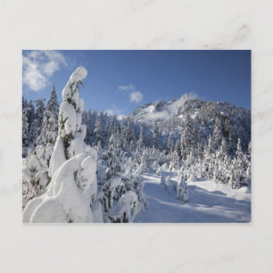 Carte Postale WA, zone sauvage Alpine Lakes, bassin du lac Snow