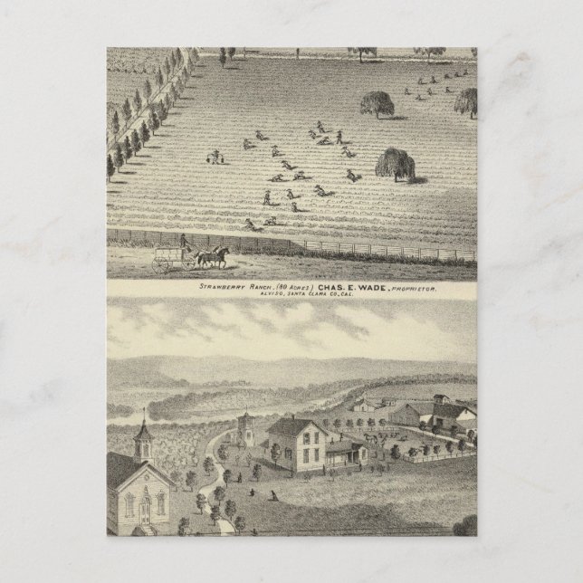 Carte Postale Wade ranch, résidence Weller (Devant)