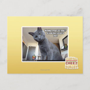 Carte Postale Wadya veut dire "Obtenez de l'aide" ?