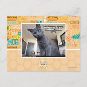 Carte Postale Wadya veut dire "Obtenez de l'aide" ?