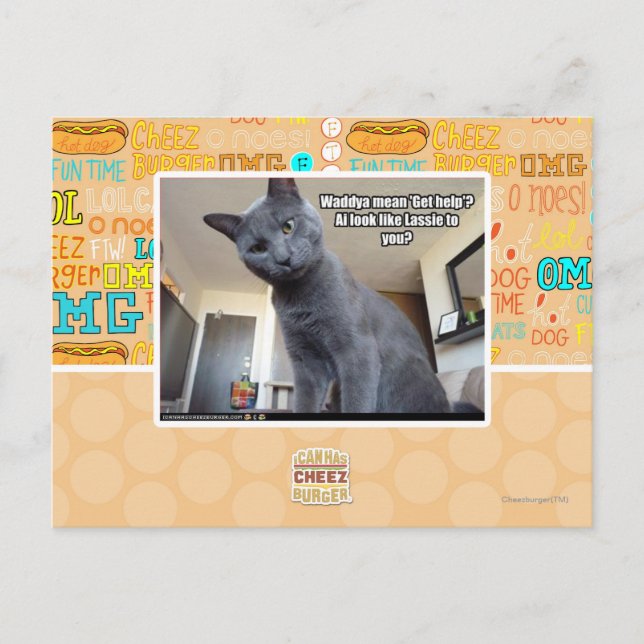 Carte Postale Wadya veut dire "Obtenez de l'aide" ? (Devant)