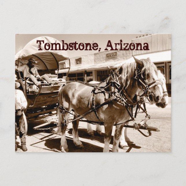 Carte postale Wagon Couverte des chevaux Tombstone (Devant)
