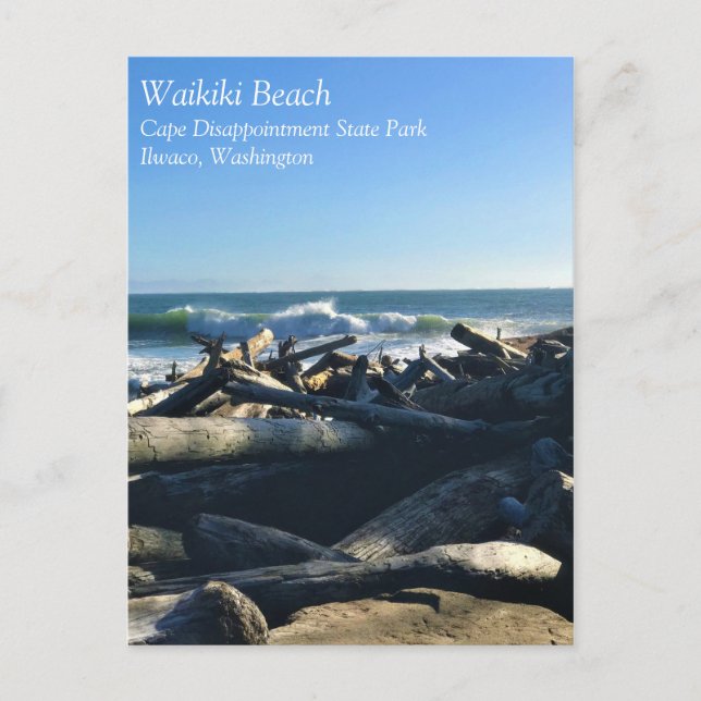Carte Postale Waikiki Beach, cape Disappointment, Washington (Devant)