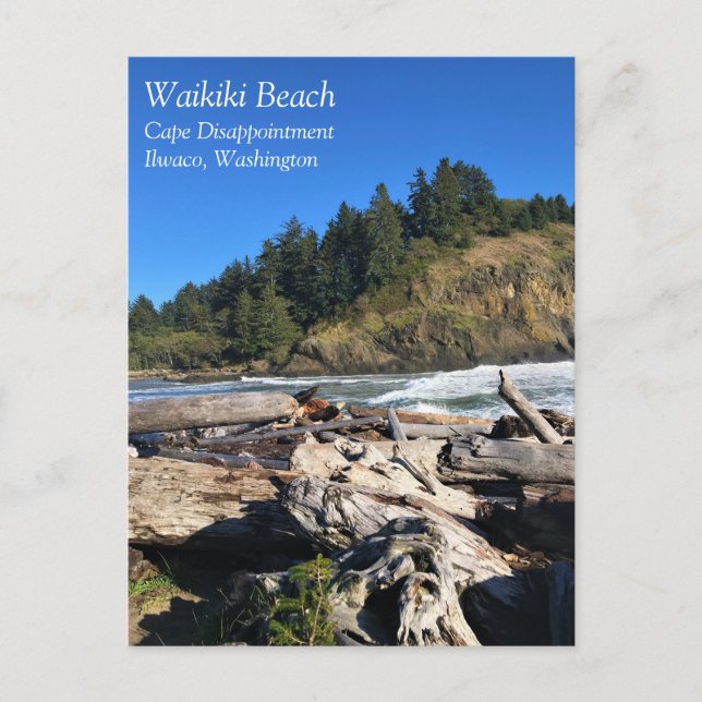 Carte Postale Waikiki Beach, cape Disappointment, Washington (Devant)
