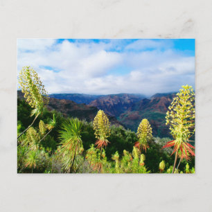 Carte Postale Waimea Canyon   Kauai, Hawaii