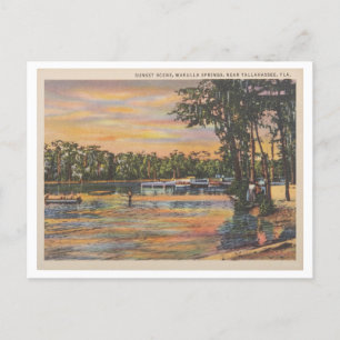 Carte Postale Wakulla Springs Floride coucher de soleil Vintage 