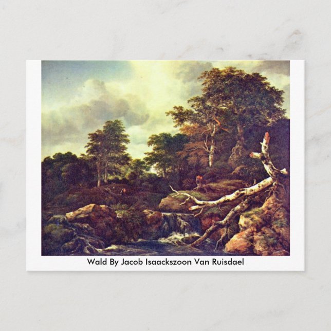 Carte Postale Wald Par Jacob Isaackszoon Van Ruisdael (Devant)
