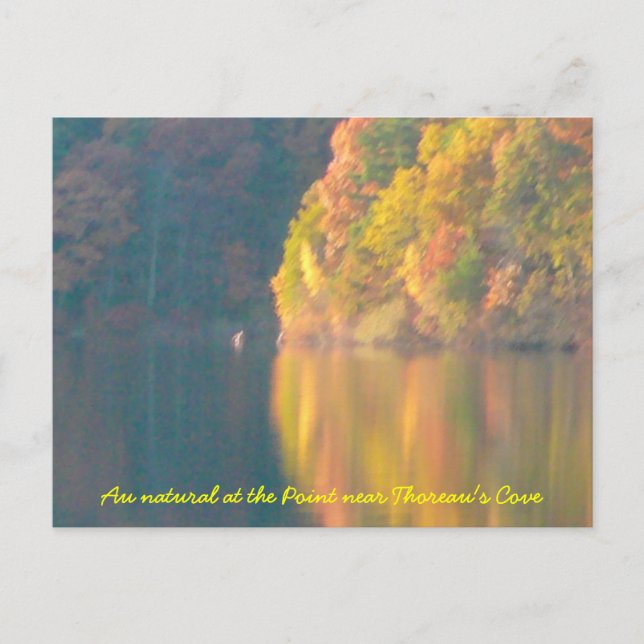 Carte postale Walden Pond (Devant)