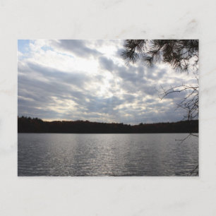 Carte Postale Walden Pond