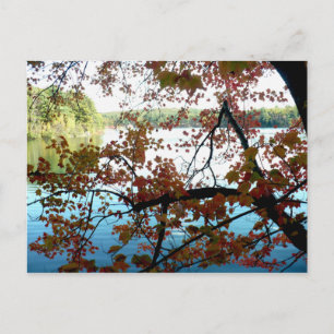 Carte Postale Walden Pond à travers les feuilles d'automne