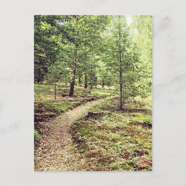 Carte Postale Walk in the park (Devant)