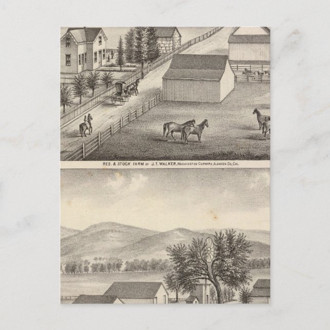 Carte Postale Walker, Résidences de Knittel, fermes (Devant)