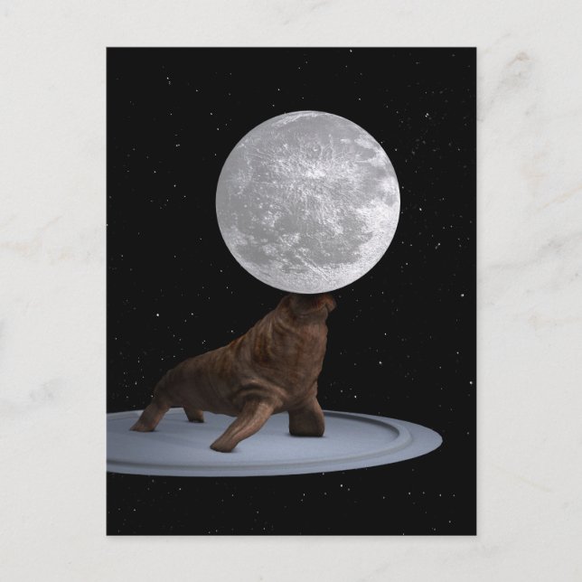 Carte Postale Walrus Équilibrer La Lune (Devant)