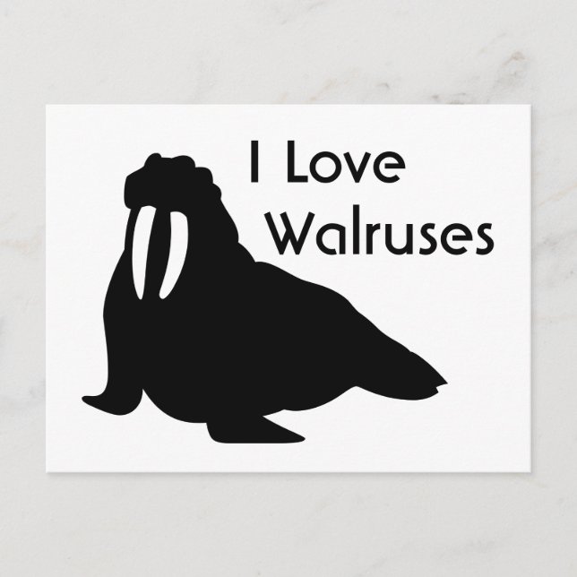 Carte postale Walrus Love (Devant)