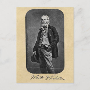 Carte Postale Walt Whitman Age 41 Portrait